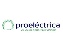 proelectrica-min